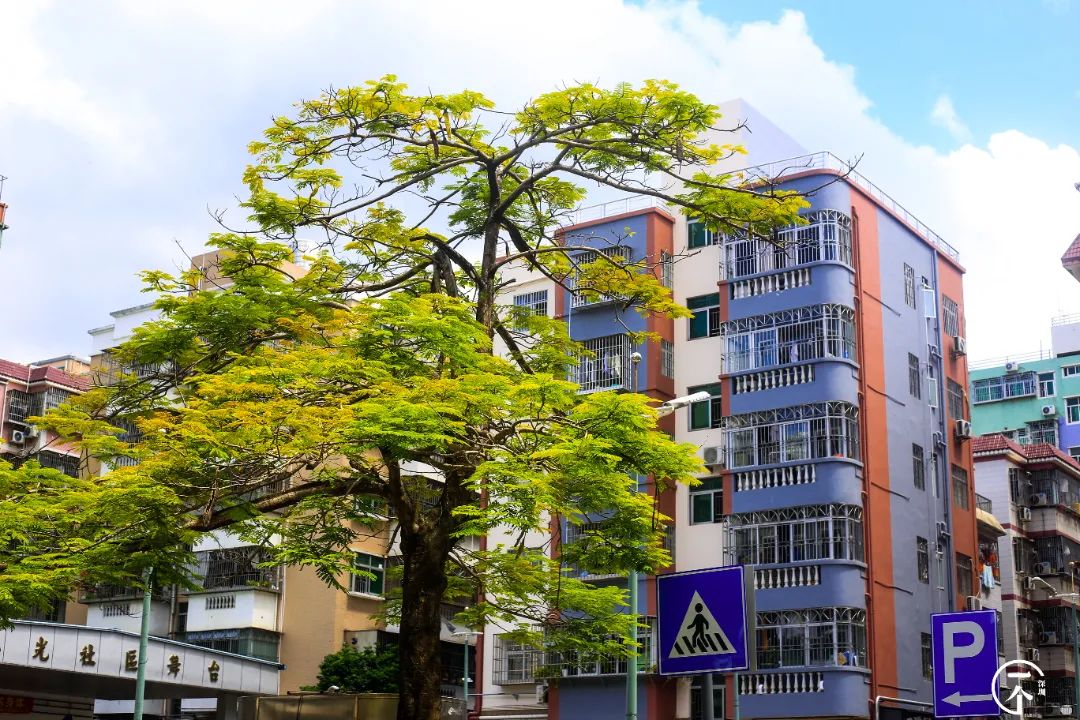 南山科技园普工工资一般多少_深圳南山科技园工资_南山科技园it工资多少?