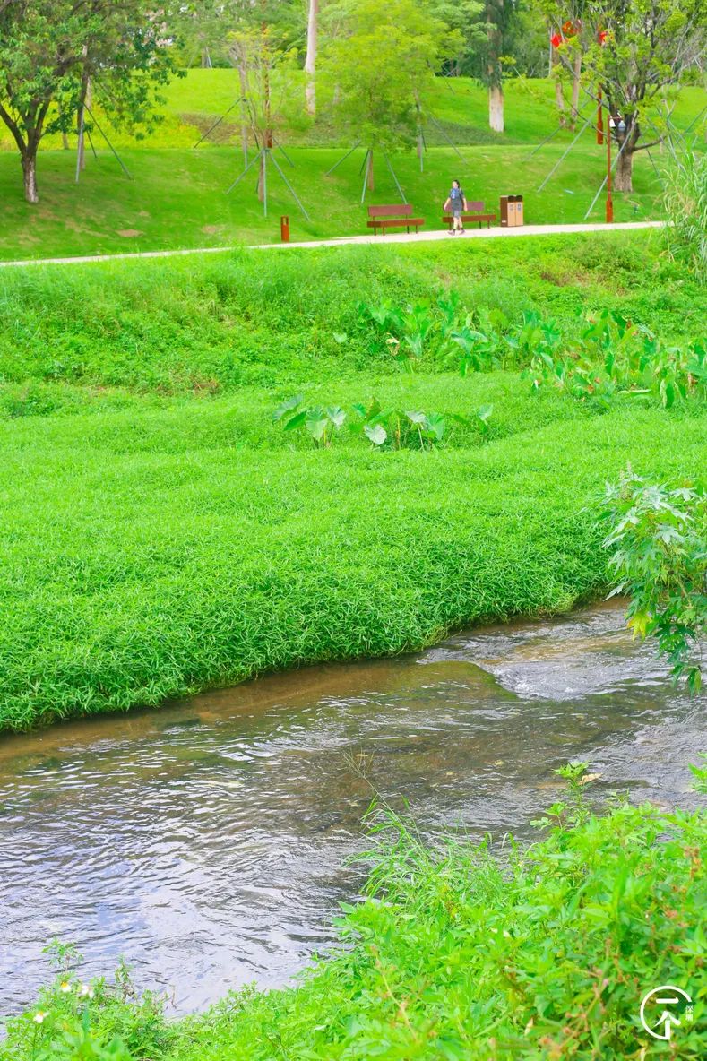 南山科技园it工资多少?_南山科技园普工工资一般多少_深圳南山科技园工资