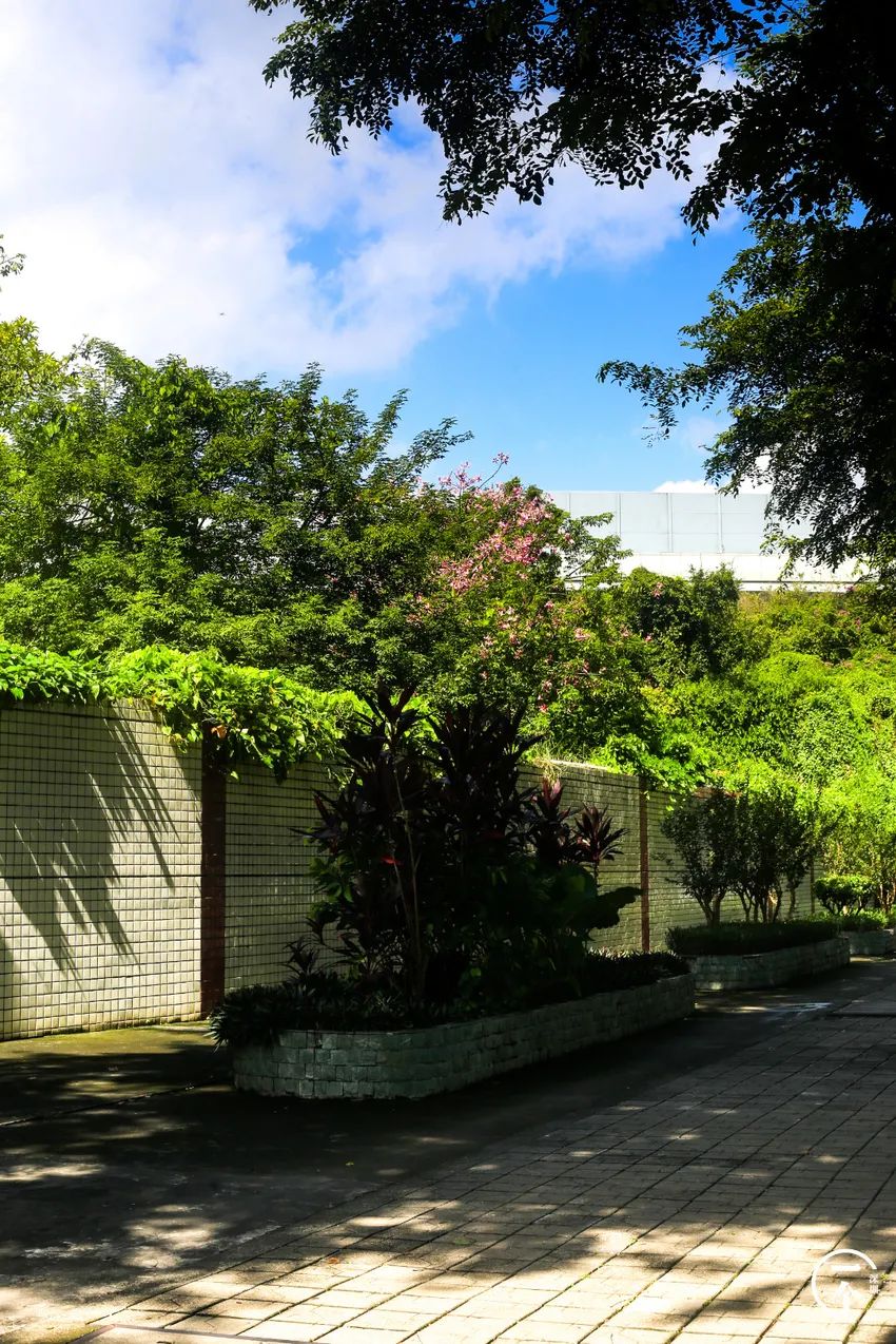 南山科技园普工工资一般多少_南山科技园it工资多少?_深圳南山科技园工资