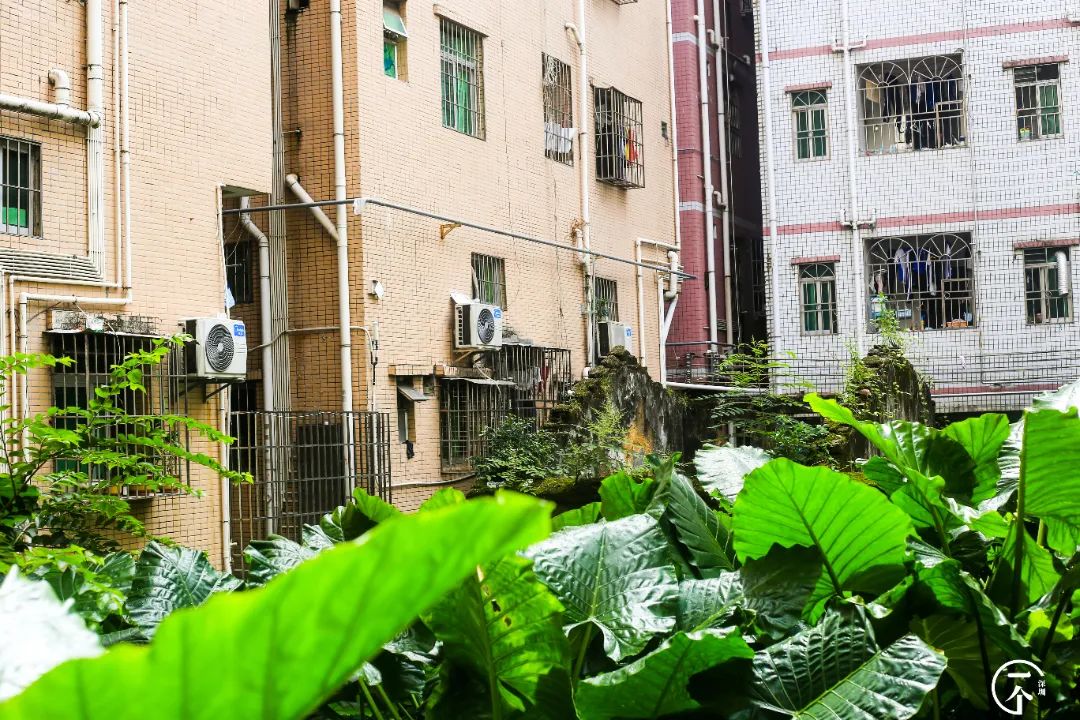 南山科技园普工工资一般多少_南山科技园it工资多少?_深圳南山科技园工资