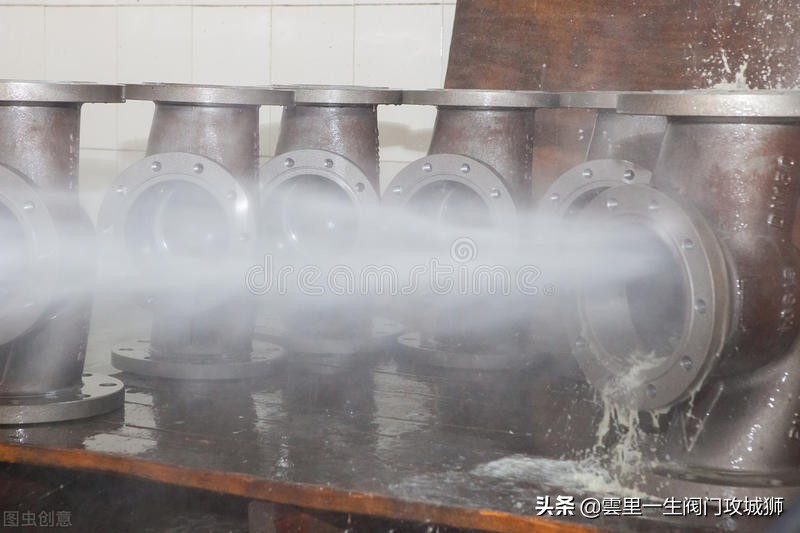 旋启式止回阀工作原理视频_碳钢旋启式止回阀_铸钢旋启止回阀