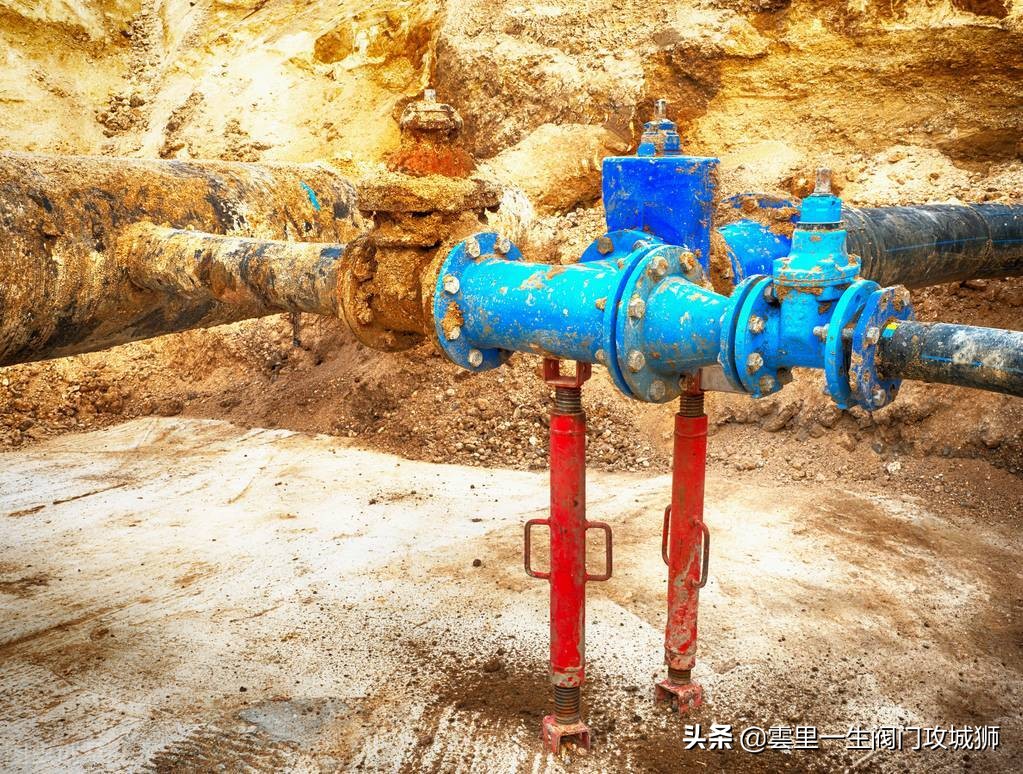 旋启式止回阀工作原理视频_铸钢旋启止回阀_碳钢旋启式止回阀