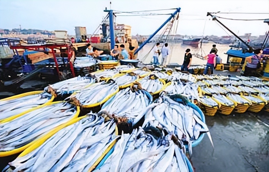 世界渔场位置_世界渔场分布图简图记忆_世界四大渔场地图