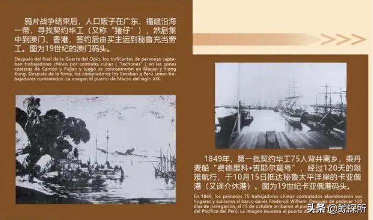 世界四大渔场地图_世界渔场的地理分布特征_世界渔场分布规律