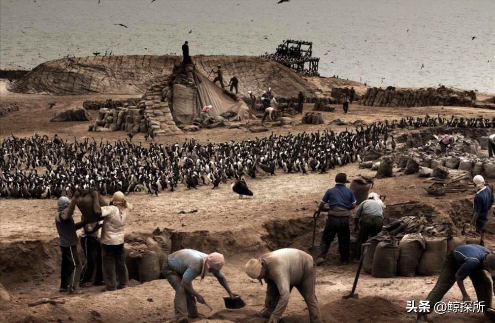 世界渔场的地理分布特征_世界渔场分布规律_世界四大渔场地图