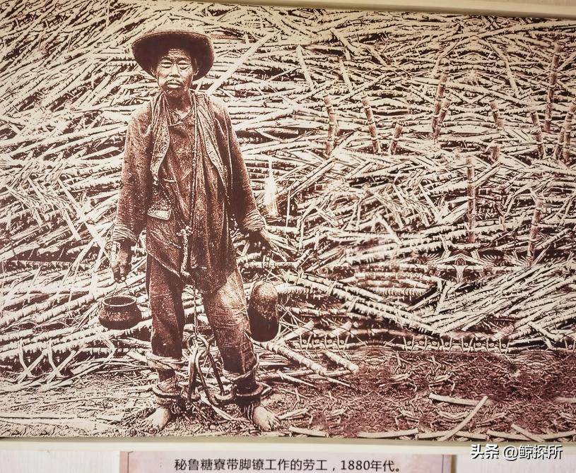 世界渔场的地理分布特征_世界四大渔场地图_世界渔场分布规律