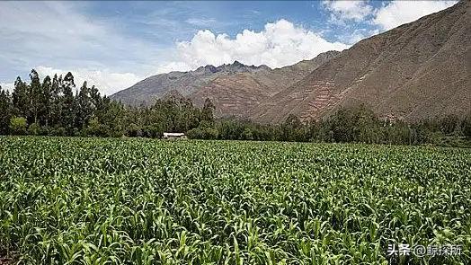 世界渔场分布规律_世界四大渔场地图_世界渔场的地理分布特征