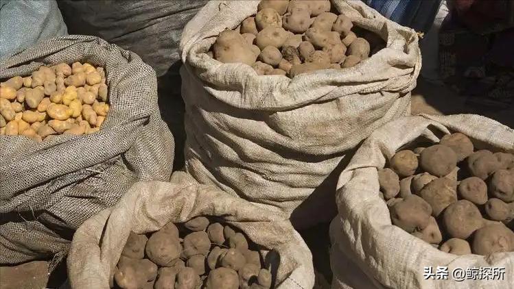 世界四大渔场地图_世界渔场的地理分布特征_世界渔场分布规律