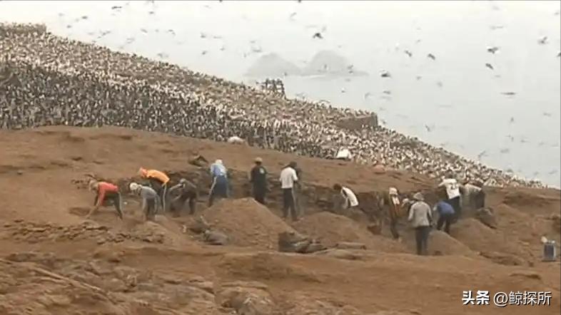 世界渔场分布规律_世界四大渔场地图_世界渔场的地理分布特征