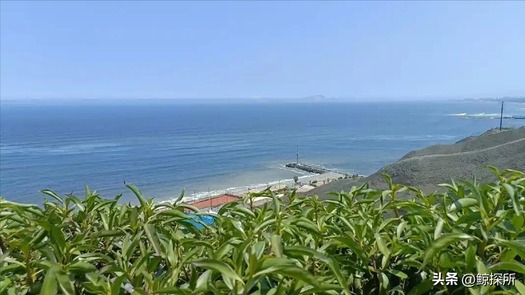 世界四大渔场地图_世界渔场的地理分布特征_世界渔场分布规律