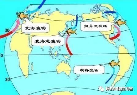 我国传统的四大渔场是哪些_渔场形成_渔场文化