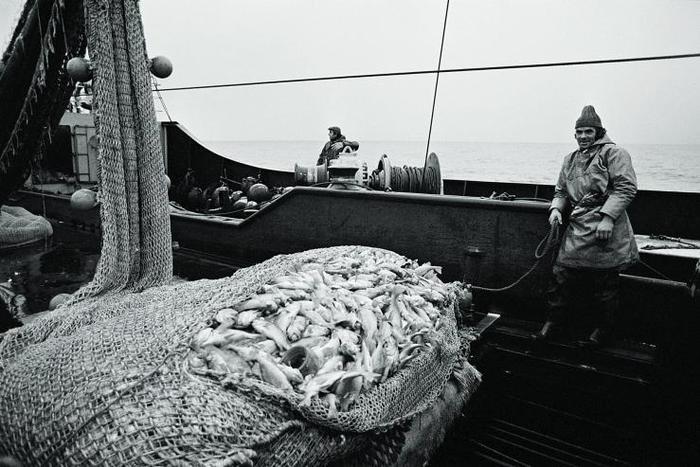 我国传统的四大渔场是哪些_渔场文化_渔场形成