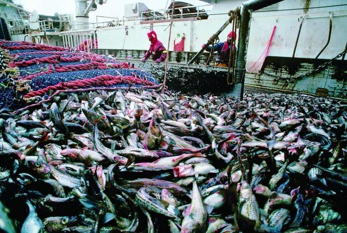 渔场形成_渔场文化_我国传统的四大渔场是哪些