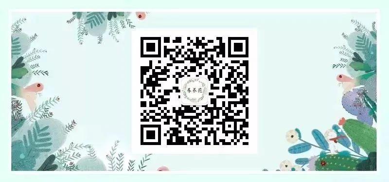 马齿苋科植物的主要特征_马齿苋科植物有哪些_科植物有马齿苋吗图片