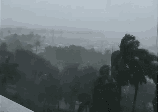 引桥是啥_引桥桥型_引桥是桥的哪里