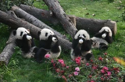 投影和小米盒子能无线连接吗_投影仪小米盒子怎么用_小米盒子视频里的小型投影仪是什么的