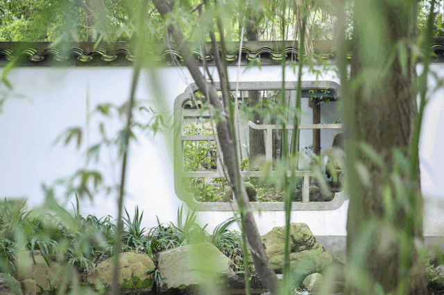 小米盒子视频里的小型投影仪是什么的_投影仪小米盒子怎么用_投影和小米盒子能无线连接吗