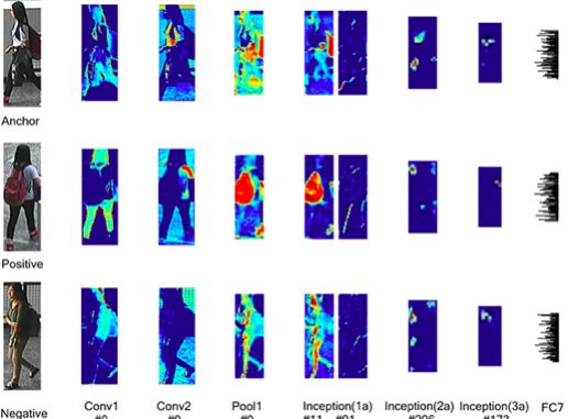 逆行拍自动单行道是违章吗_单行道逆行是自动拍吗_单行道逆行拍车头还是拍车尾