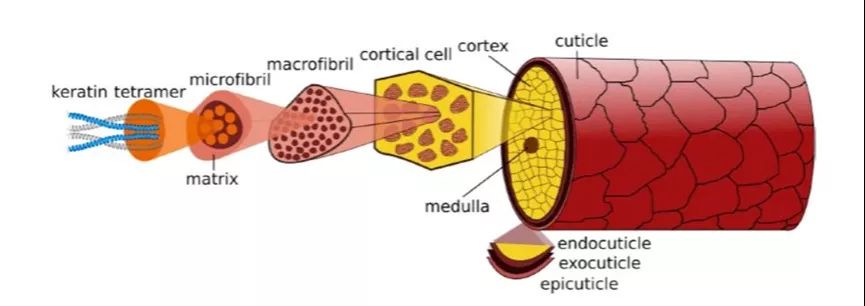润滑油回收再生利用_回收干性润滑剂_润滑油可以回收吗