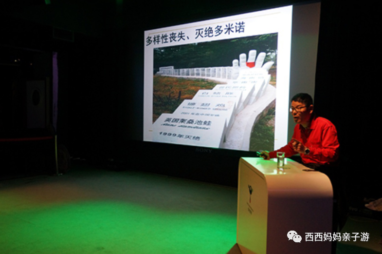 朝阳公园丛林探险_朝阳公园索尼探梦介绍_朝阳主题公园