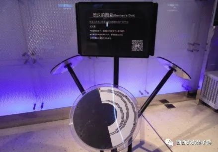 朝阳公园丛林探险_朝阳公园索尼探梦介绍_朝阳主题公园