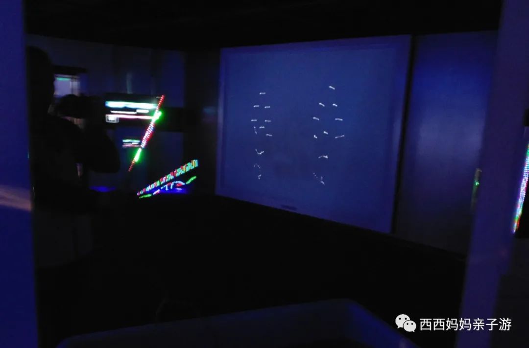 朝阳主题公园_朝阳公园索尼探梦介绍_朝阳公园丛林探险