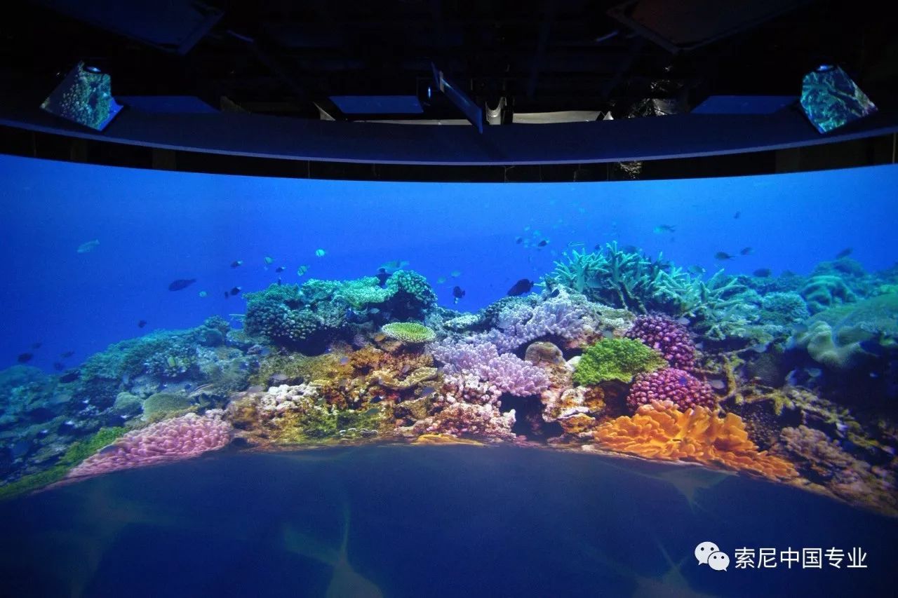 朝阳公园索道_朝阳公园探险多少钱_朝阳公园索尼探梦介绍