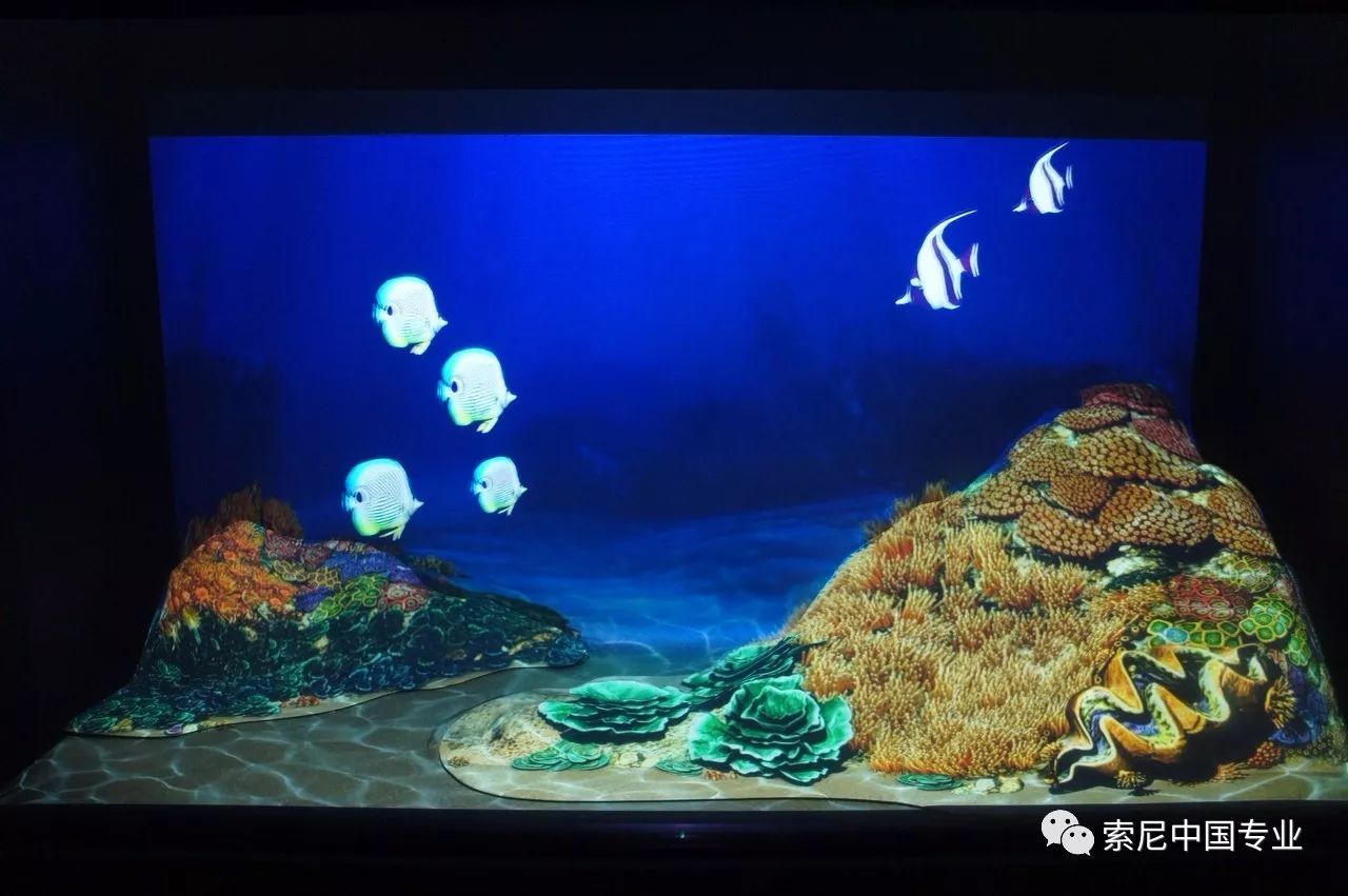 朝阳公园索道_朝阳公园索尼探梦介绍_朝阳公园探险多少钱