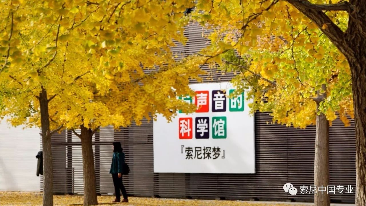 朝阳公园探险多少钱_朝阳公园索道_朝阳公园索尼探梦介绍