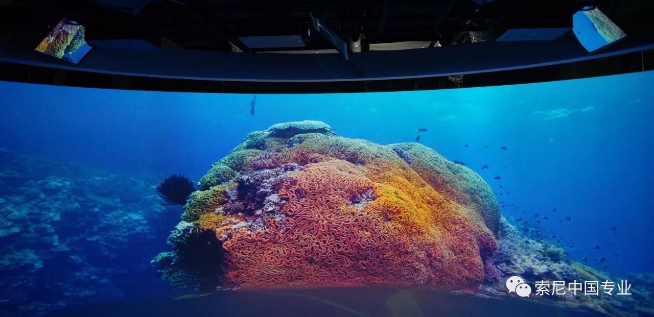 朝阳公园索道_朝阳公园探险多少钱_朝阳公园索尼探梦介绍