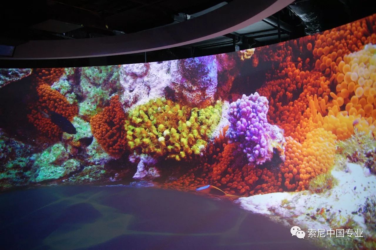 朝阳公园索道_朝阳公园索尼探梦介绍_朝阳公园探险多少钱