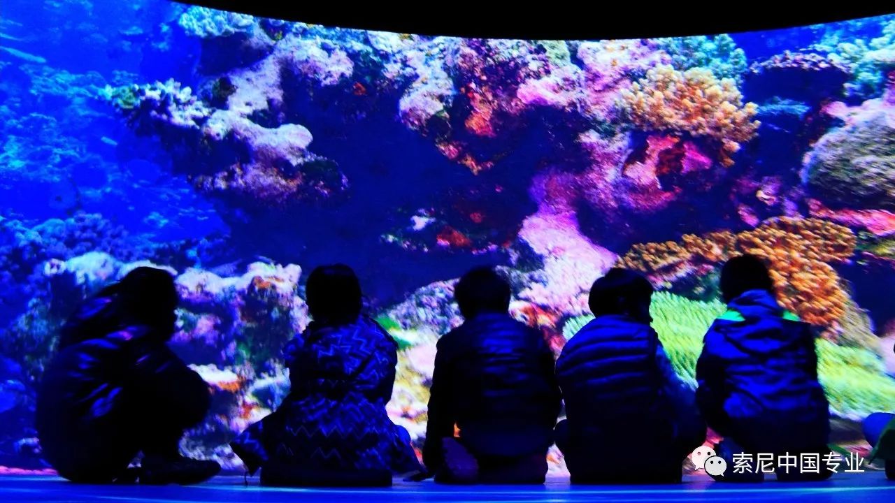 朝阳公园索道_朝阳公园索尼探梦介绍_朝阳公园探险多少钱