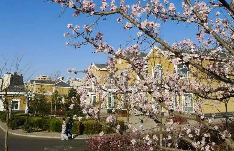 石油地质勘探工作怎么样_地质石油房价勘探小区有哪些_石油地质勘探小区房价