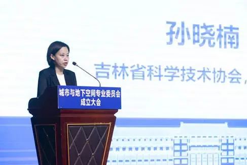 中国地球物理学会科技进步奖_地球物理学会年会_中国地球物理学会地球物理技术委员会
