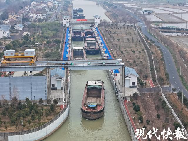 航运_航运在线_航运公司排名