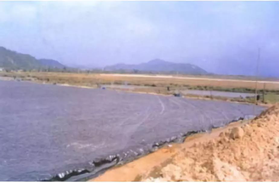 软土地基处理方法中哪个最好_软土地基处理的方法包括_常用软土地基处理方法