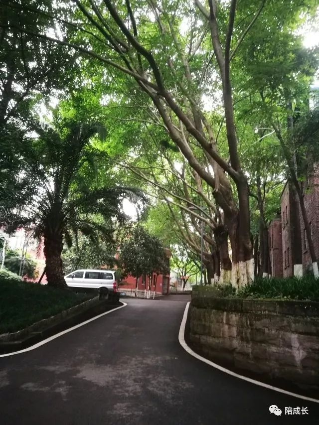 重庆方特公园营业时间_重庆方特科幻主题公园_重庆方特科幻公园上午人多还是下午人多?