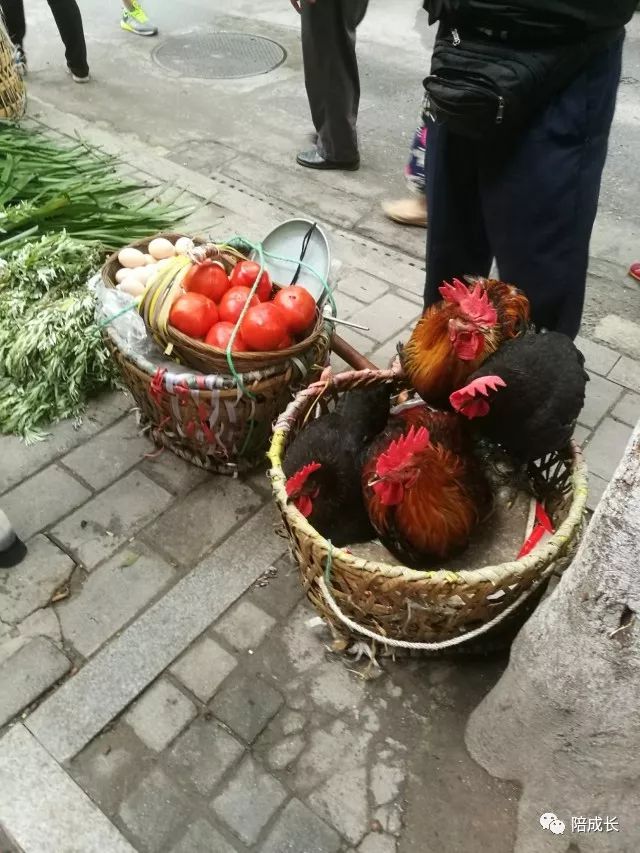 重庆方特科幻公园上午人多还是下午人多?_重庆方特科幻主题公园_重庆方特公园营业时间