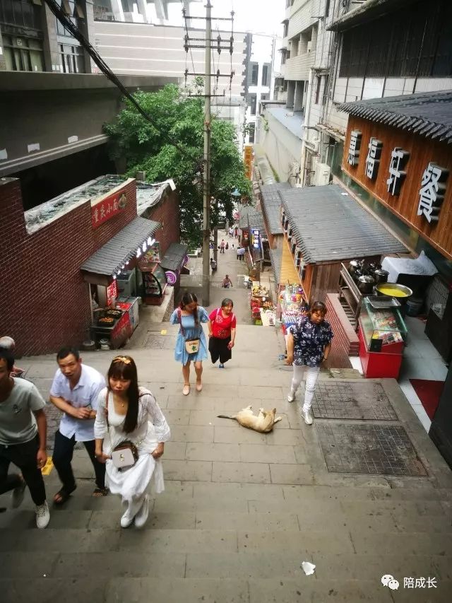 重庆方特科幻公园上午人多还是下午人多?_重庆方特公园营业时间_重庆方特科幻主题公园