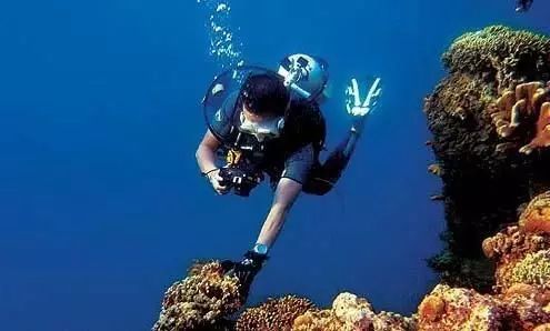 重庆方特科幻公园上午人多还是下午人多?_重庆方特科幻主题公园_重庆方特科幻公园开门了吗