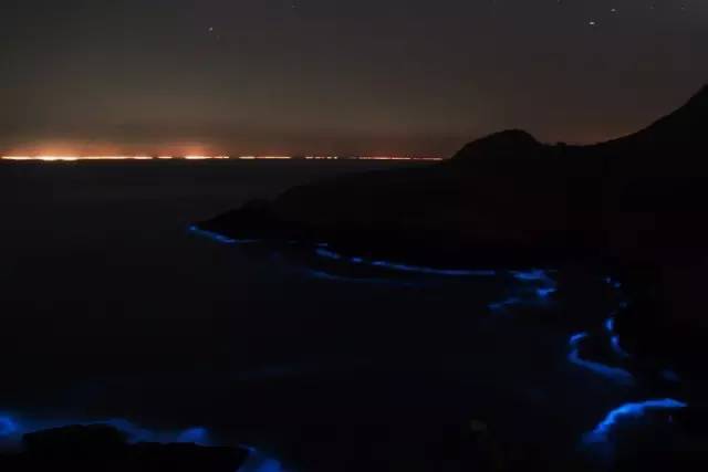 重庆方特科幻主题公园_重庆方特科幻公园上午人多还是下午人多?_重庆方特科幻公园开门了吗