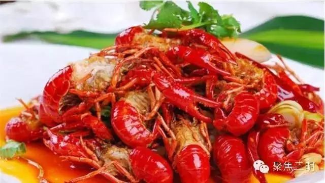 重庆方特科幻公园开门了吗_重庆方特科幻公园上午人多还是下午人多?_重庆方特科幻主题公园