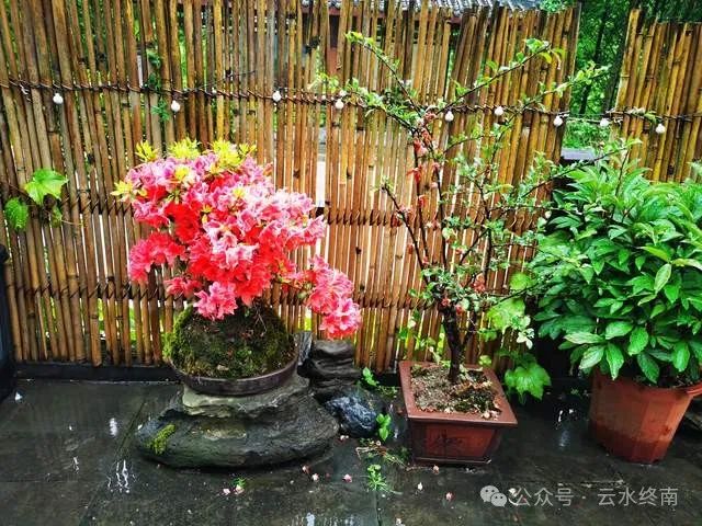 一座山_一个山两个山三个山各念什么_山阴的山是什么山