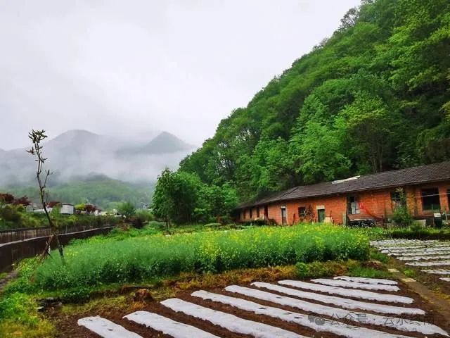 山阴的山是什么山_一座山_一个山两个山三个山各念什么