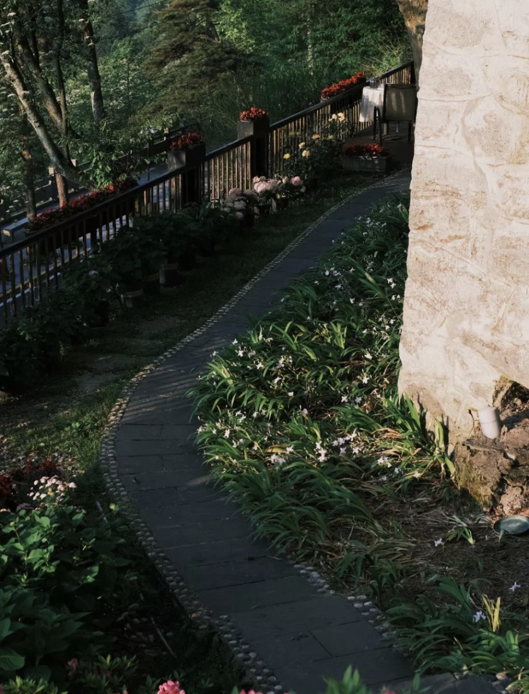 山茱萸_一座山_海搬山和山搬山