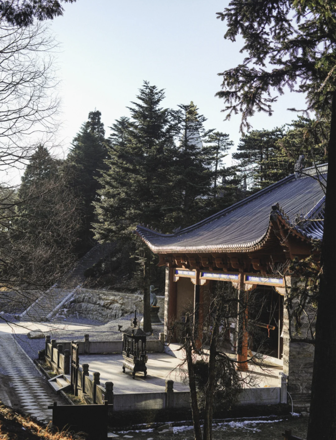 海搬山和山搬山_山茱萸_一座山