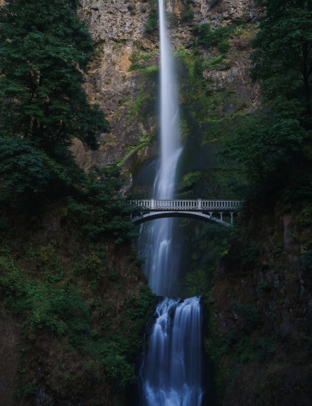 一座山_山茱萸_海搬山和山搬山