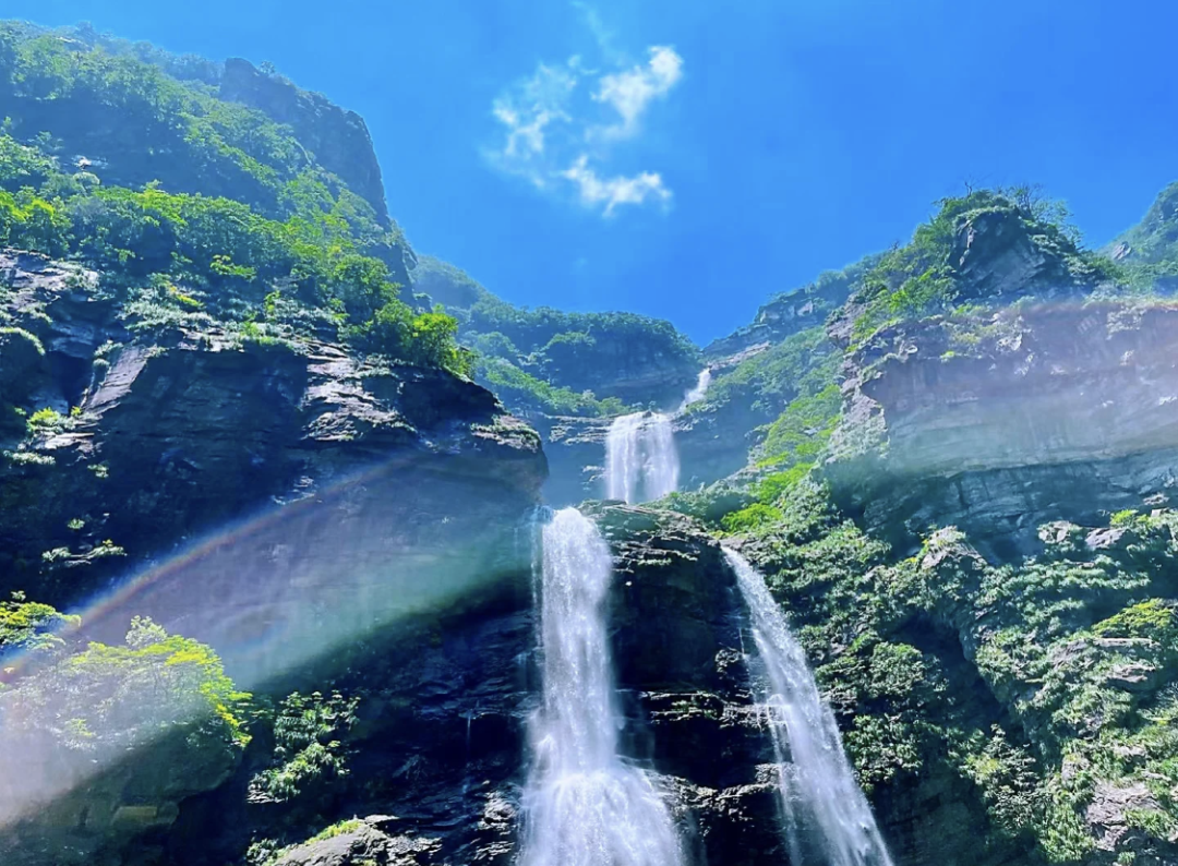 海搬山和山搬山_山茱萸_一座山