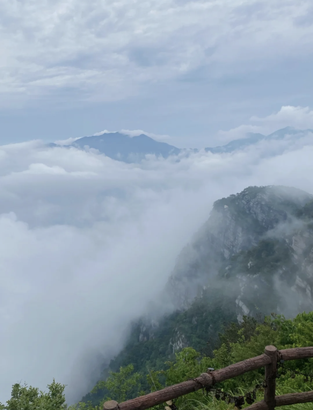 一座山_海搬山和山搬山_山茱萸