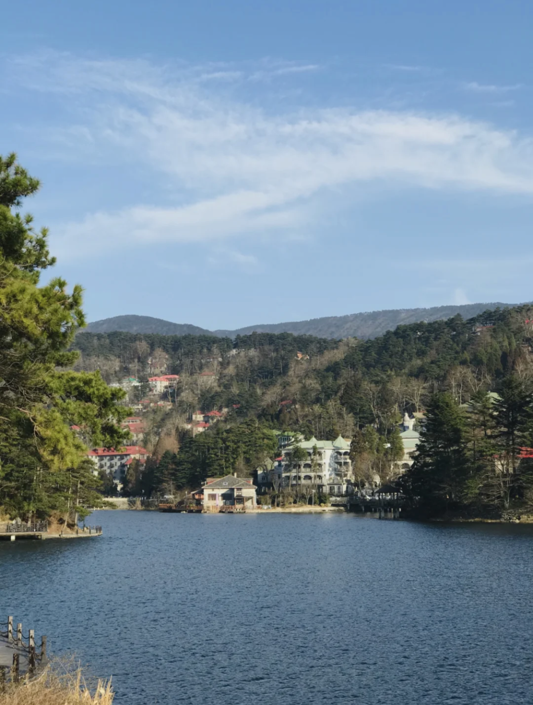 山茱萸_海搬山和山搬山_一座山